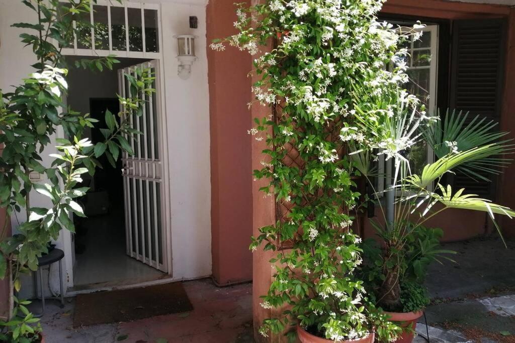 La Casa Della Mia Famiglia Apartment Roma Exterior foto