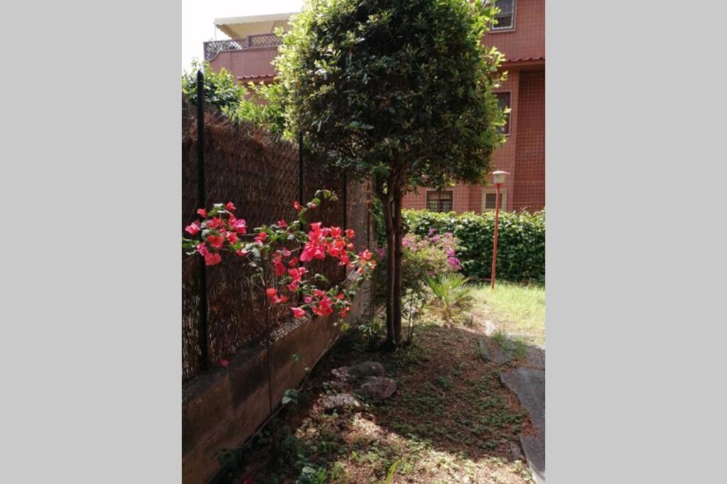 La Casa Della Mia Famiglia Apartment Roma Exterior foto
